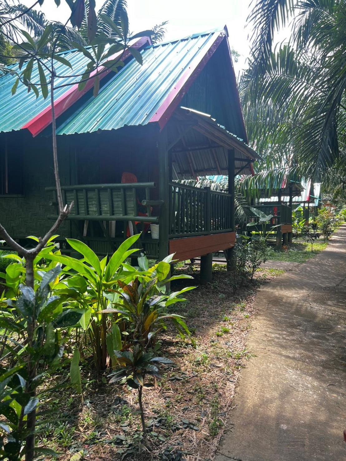 Khaosok Bamboo Huts Resort Khao Sok National Park Luaran gambar
