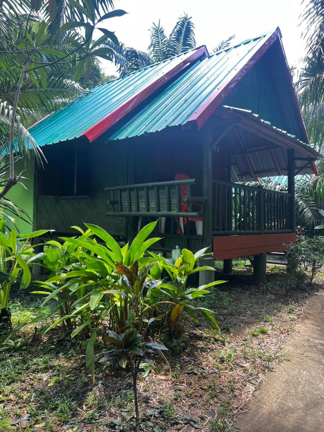 Khaosok Bamboo Huts Resort Khao Sok National Park Luaran gambar
