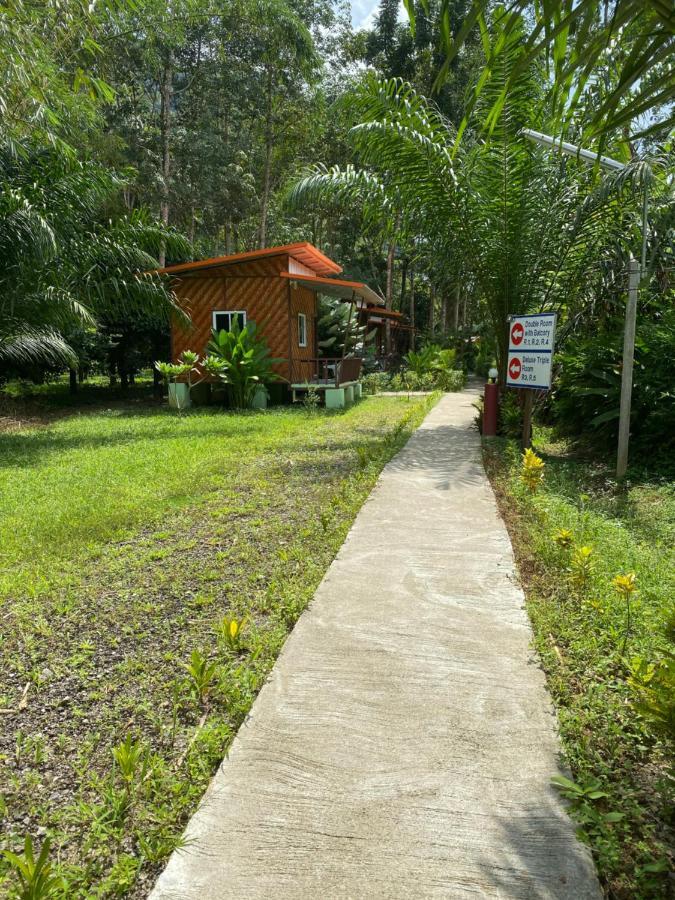 Khaosok Bamboo Huts Resort Khao Sok National Park Luaran gambar